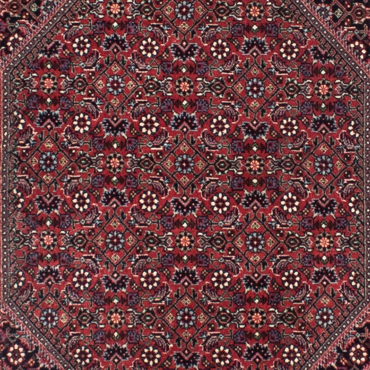 Alfombra de pasillo Alfombra persa - Bidjar - 313 x 84 cm - azul oscuro