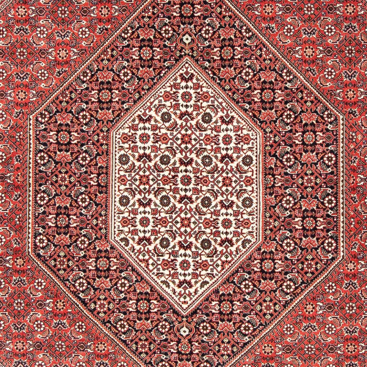 Alfombra persa - Bidjar - 251 x 170 cm - rojo claro