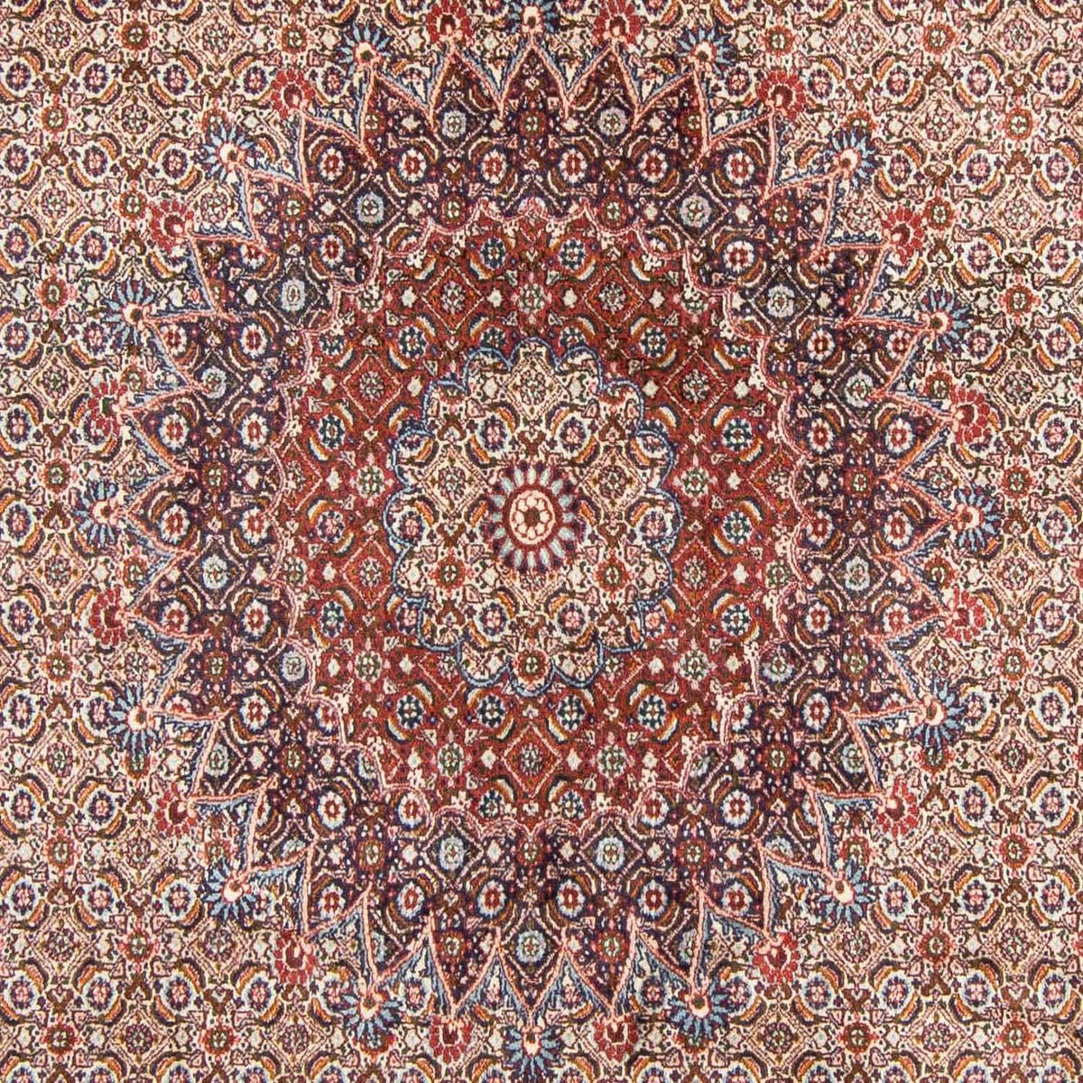 Alfombra persa - Clásica - 300 x 199 cm - rojo claro