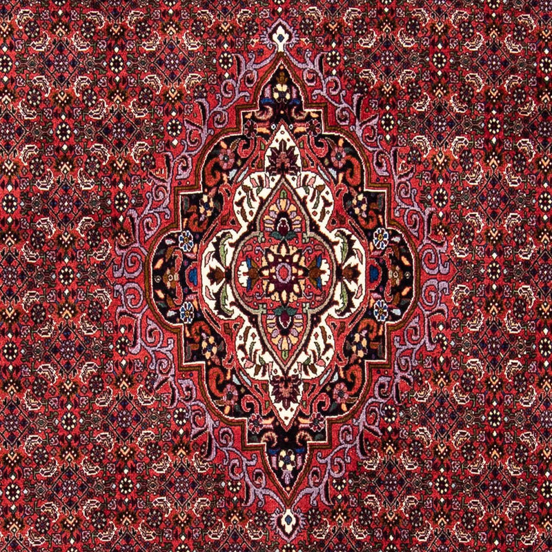 Alfombra persa - Bidjar - 241 x 172 cm - rojo oscuro