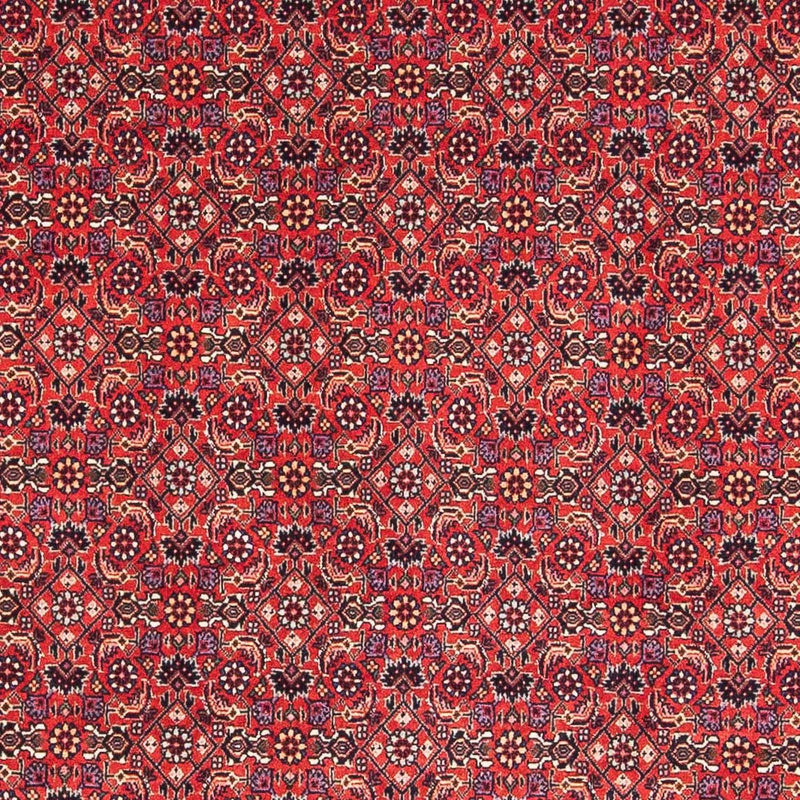 Alfombra persa - Bidjar cuadrado  - 126 x 124 cm - rojo
