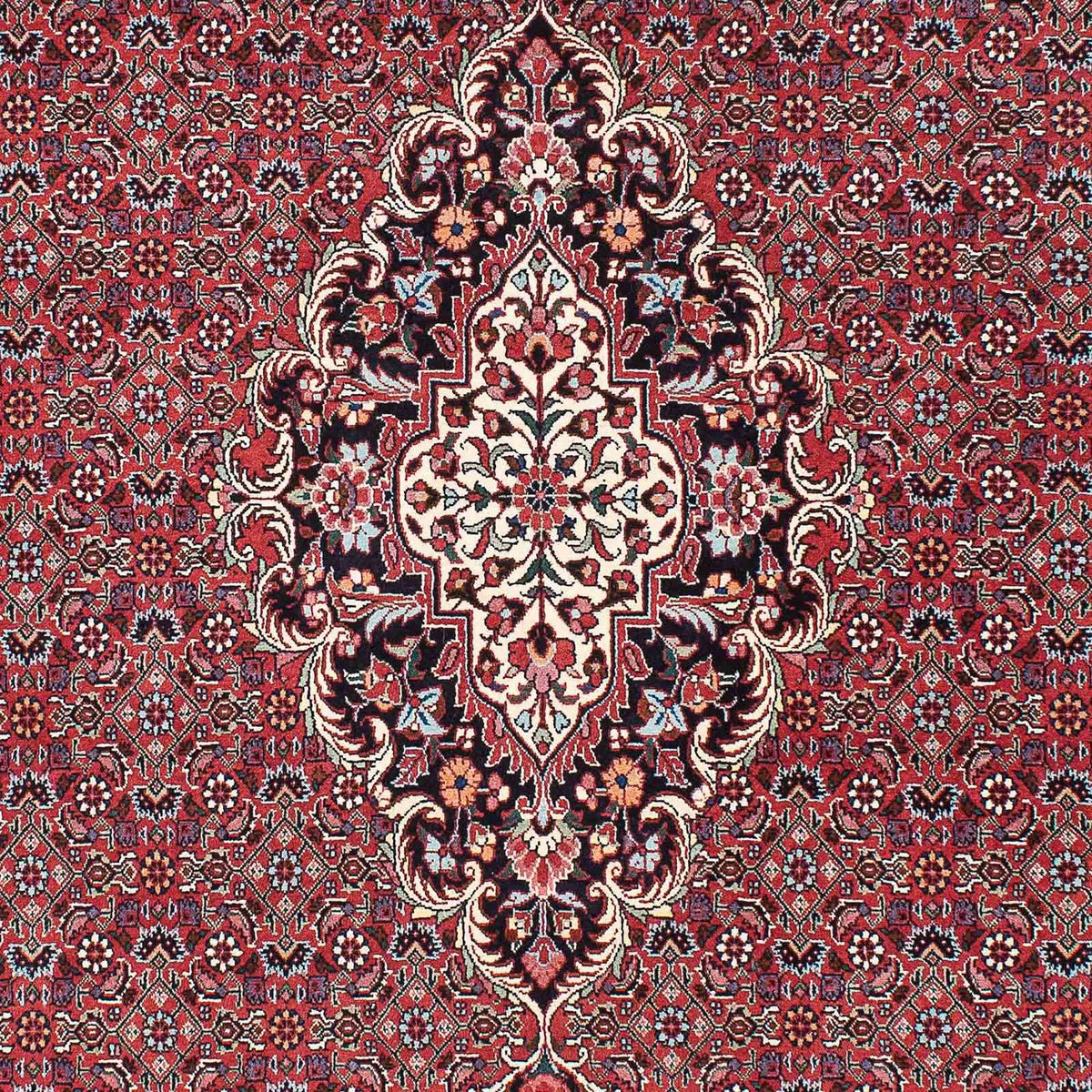 Alfombra persa - Bidjar - 220 x 153 cm - rojo