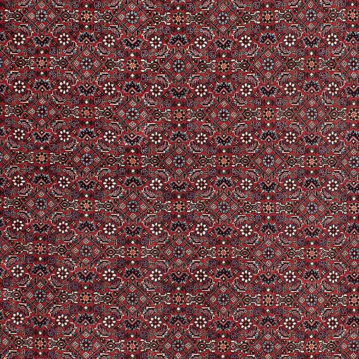 Alfombra persa - Bidjar - 195 x 115 cm - rojo