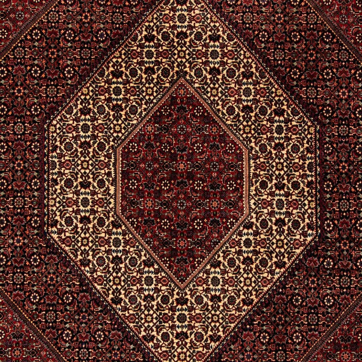 Alfombra persa - Bidjar - 255 x 205 cm - rojo oscuro