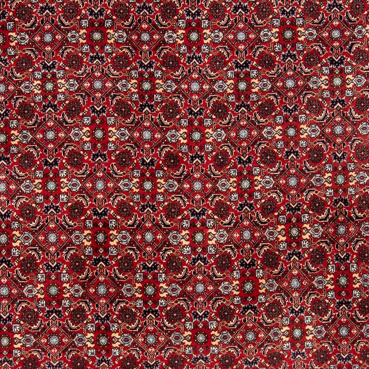 Alfombra persa - Bidjar - 251 x 175 cm - rojo