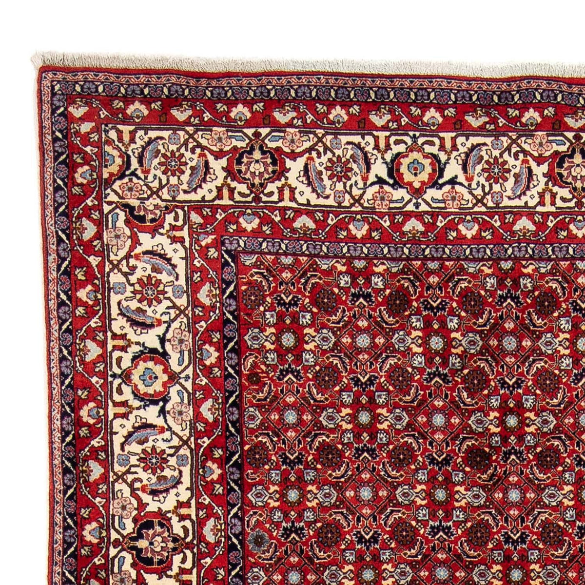 Alfombra persa - Bidjar - 251 x 175 cm - rojo