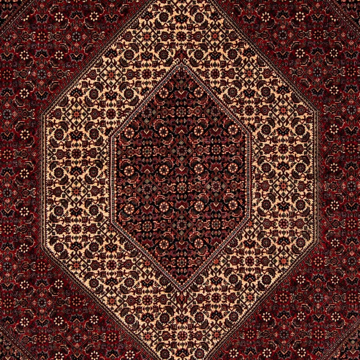 Alfombra persa - Bidjar - 255 x 202 cm - rojo oscuro