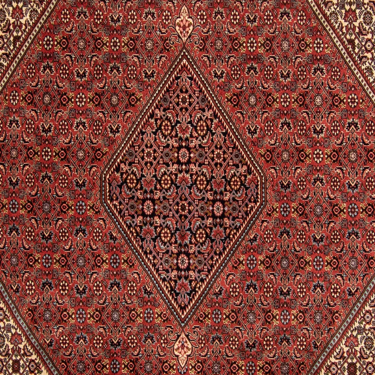 Alfombra persa - Bidjar - 343 x 250 cm - rojo oscuro