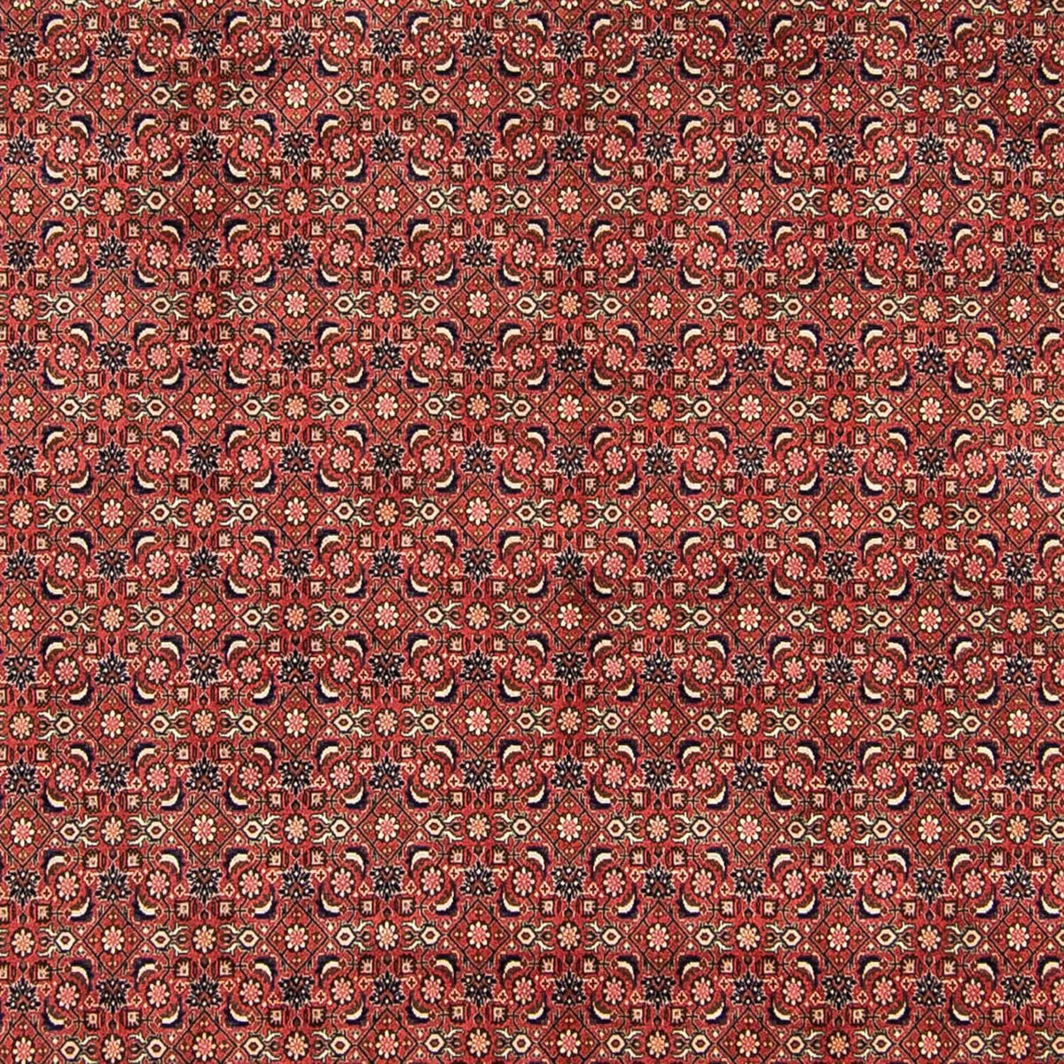 Alfombra persa - Bidjar - 316 x 252 cm - rojo