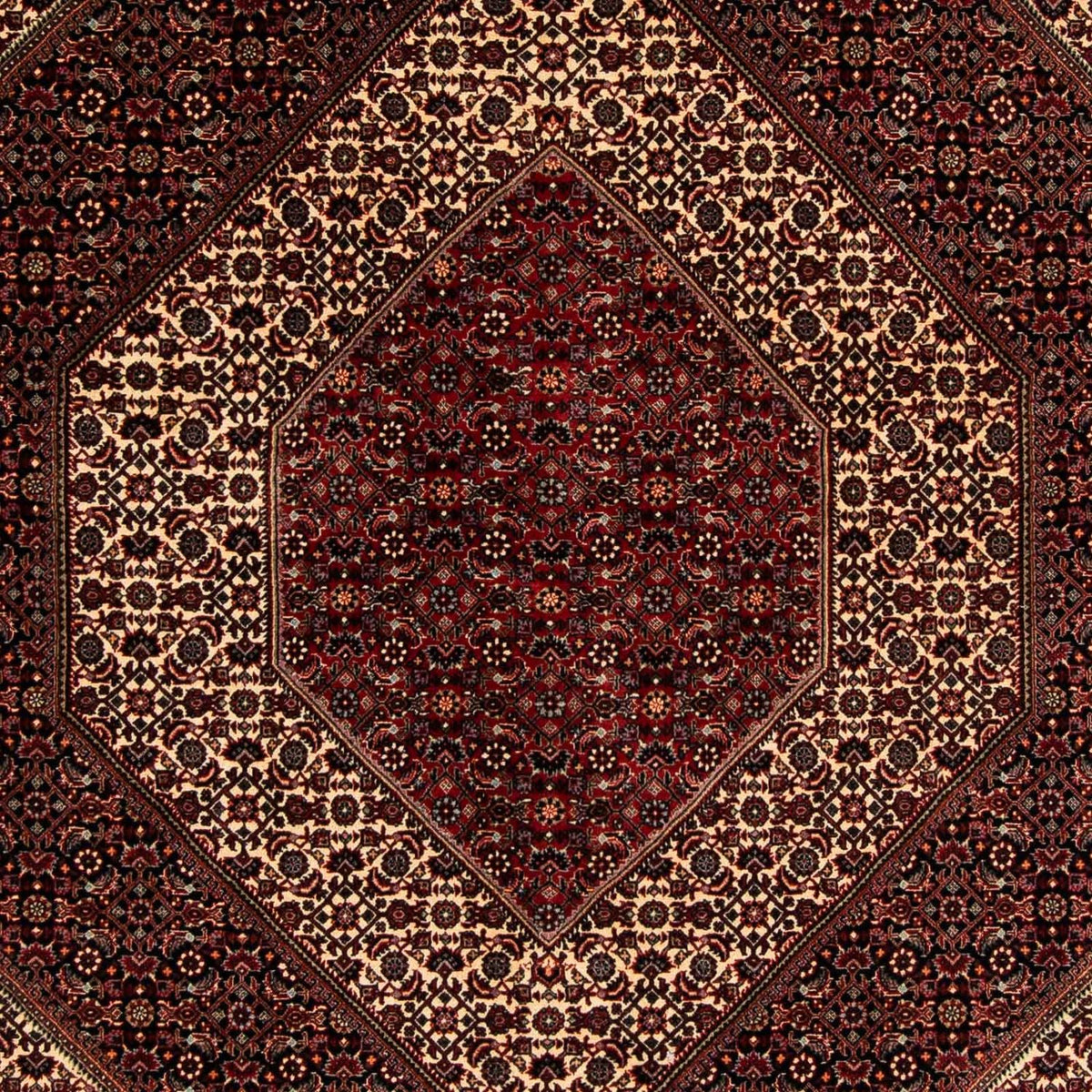 Alfombra persa - Bidjar - 262 x 203 cm - rojo oscuro