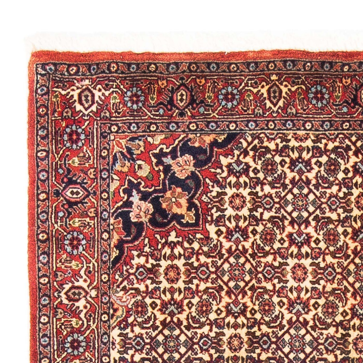 Alfombra persa - Bidjar - 151 x 88 cm - beige