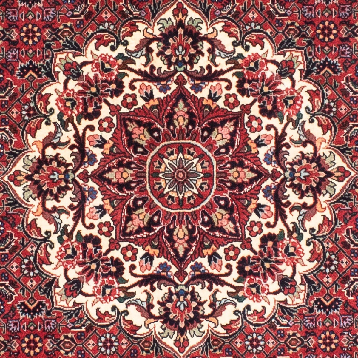 Alfombra persa - Bidjar redondo  - 155 x 155 cm - rojo oscuro