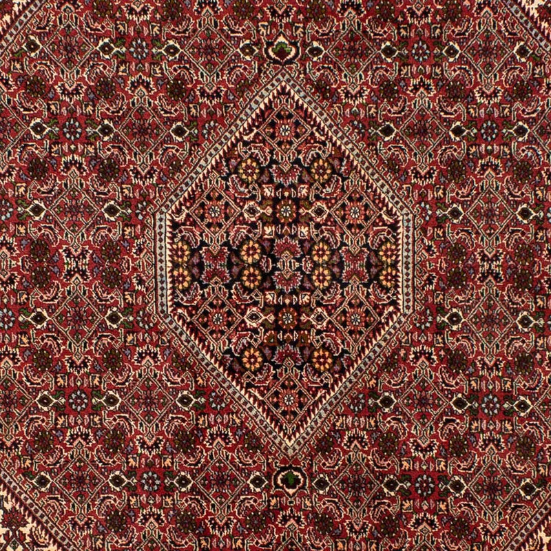 Alfombra persa - Bidjar - 251 x 173 cm - rojo oscuro