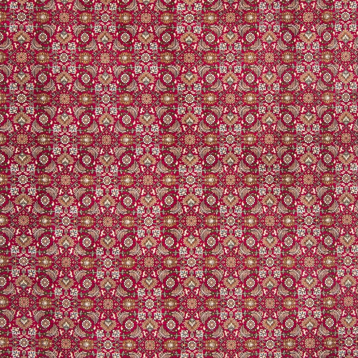 Alfombra Persa - Tabriz - Real - 312 x 197 cm - rojo