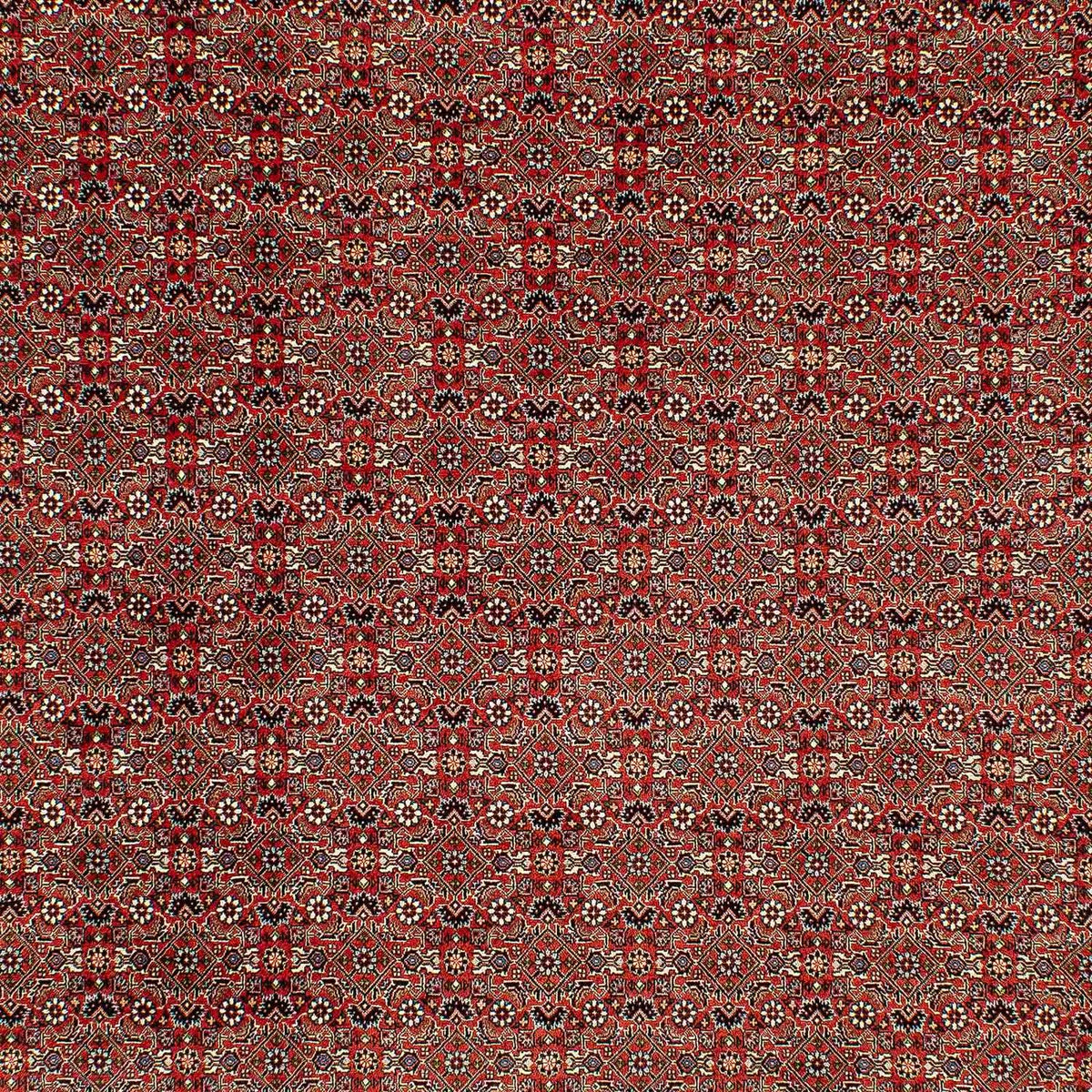 Alfombra persa - Bidjar - 300 x 206 cm - rojo claro