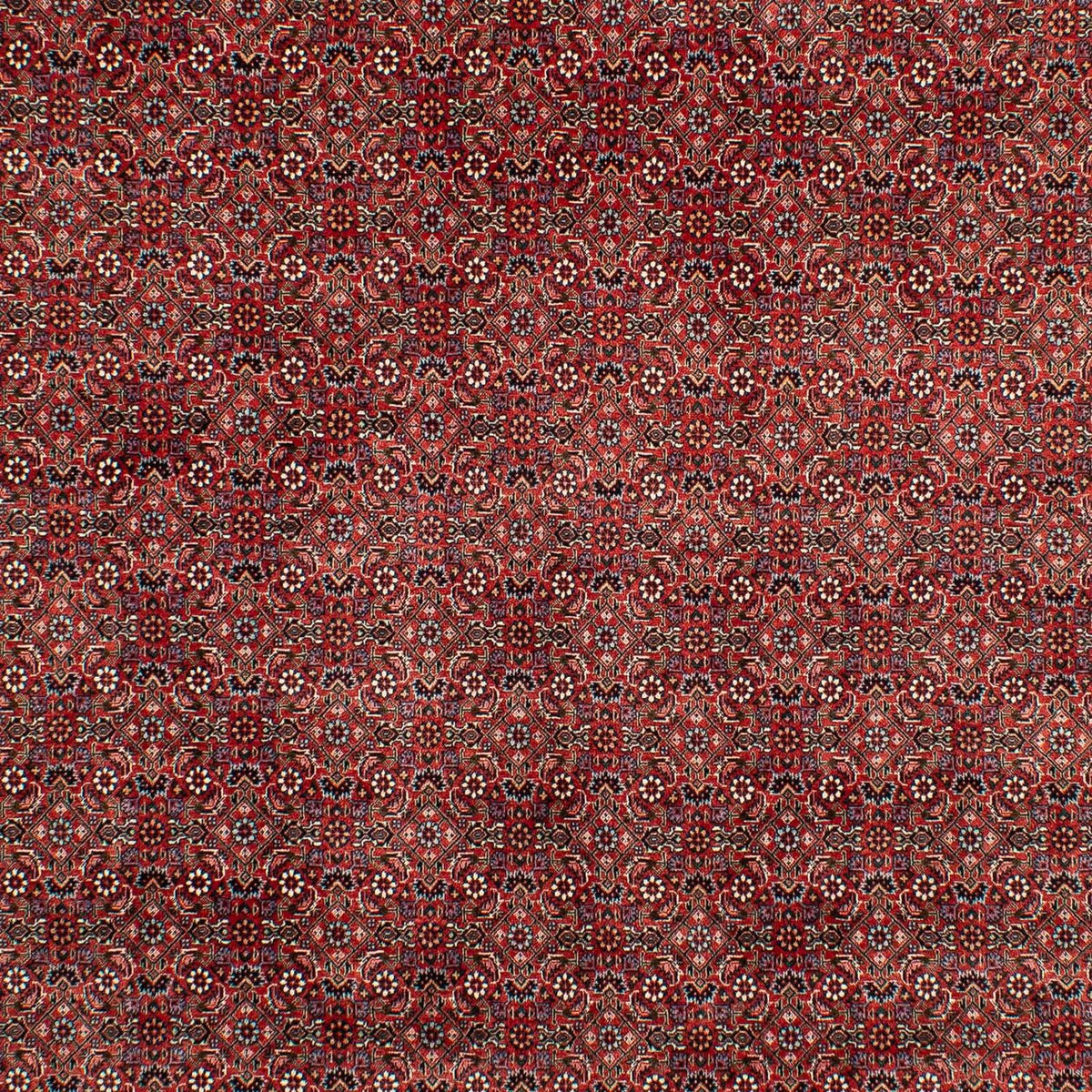 Alfombra persa - Bidjar - 299 x 202 cm - rojo oscuro