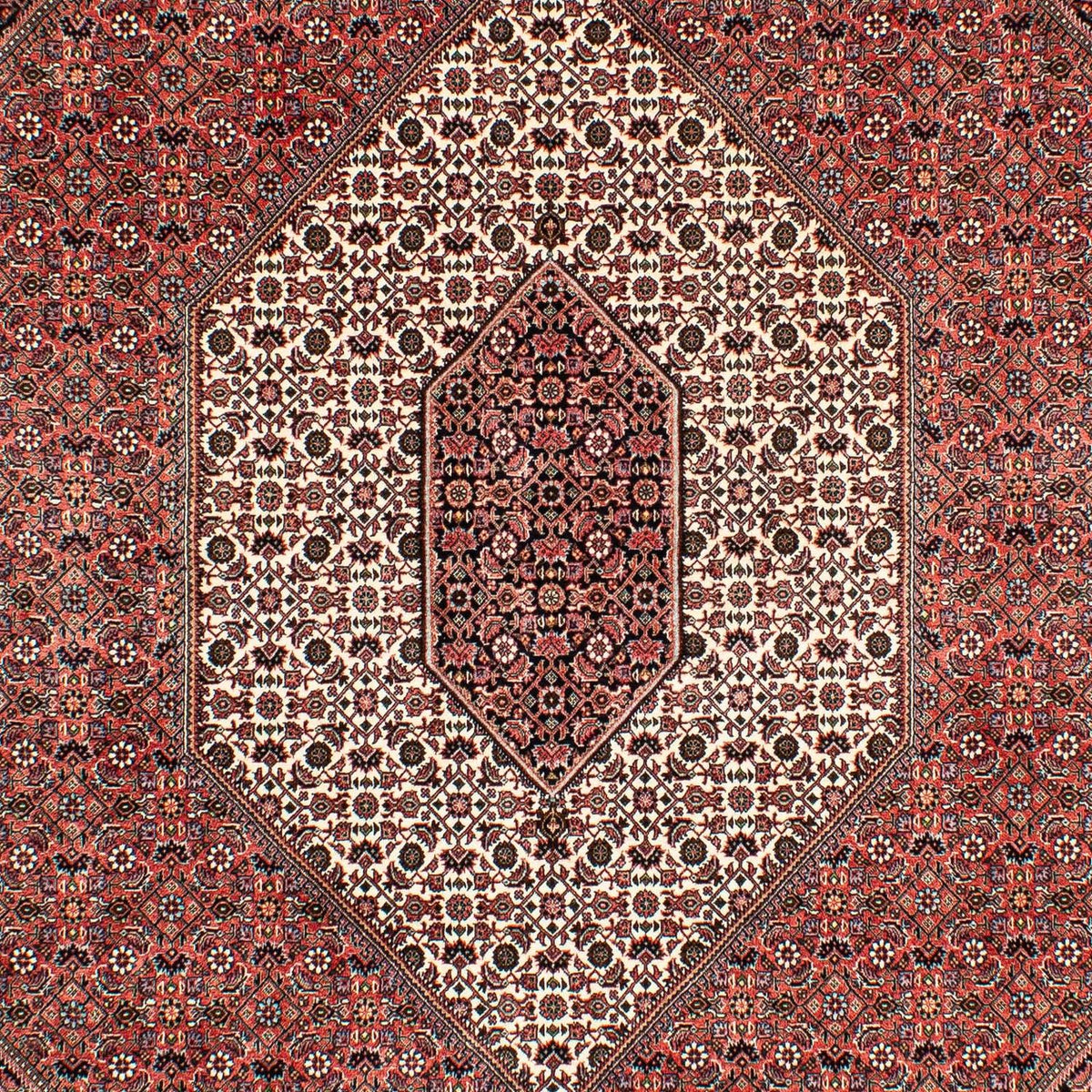 Alfombra persa - Bidjar - 293 x 203 cm - rojo claro