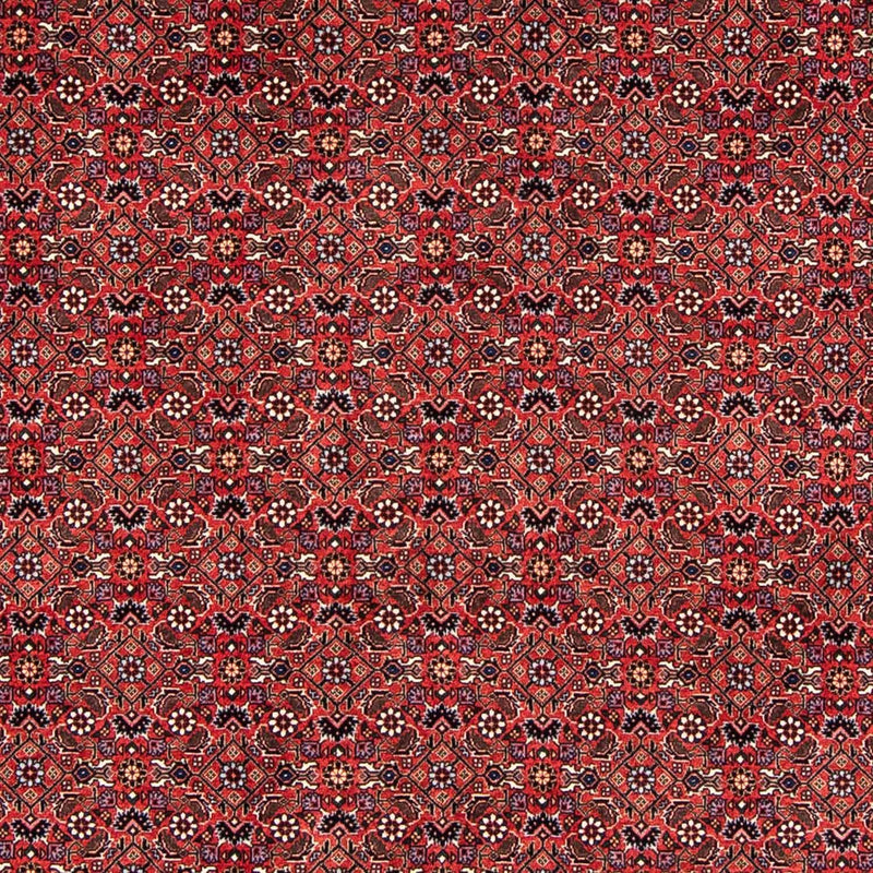 Alfombra persa - Bidjar - 243 x 173 cm - rojo oscuro