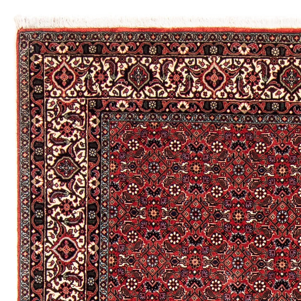 Alfombra persa - Bidjar - 243 x 173 cm - rojo oscuro