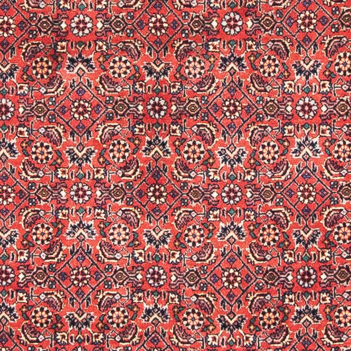 Alfombra persa - Bidjar - 138 x 84 cm - rojo