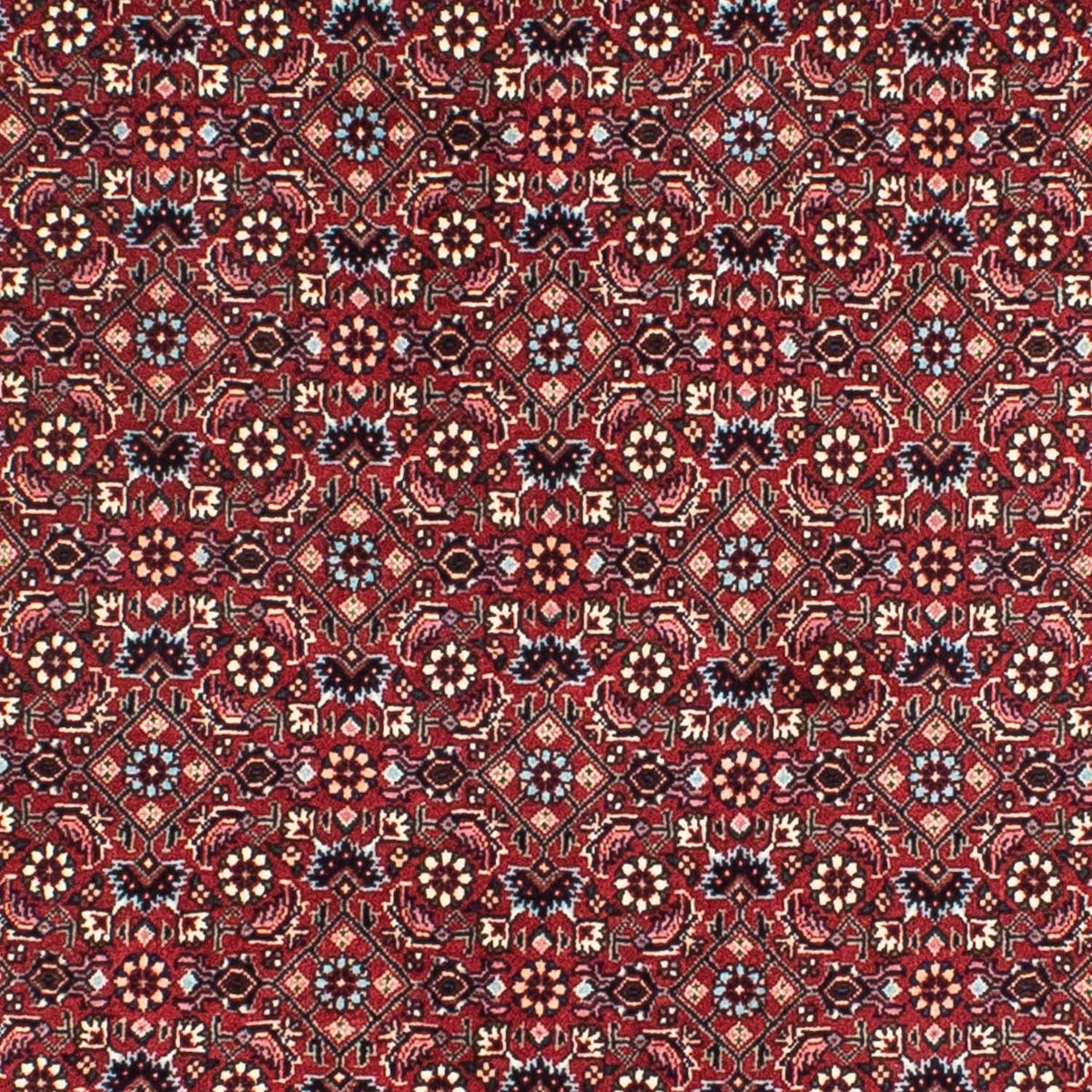 Alfombra persa - Bidjar redondo  - 155 x 155 cm - rojo oscuro