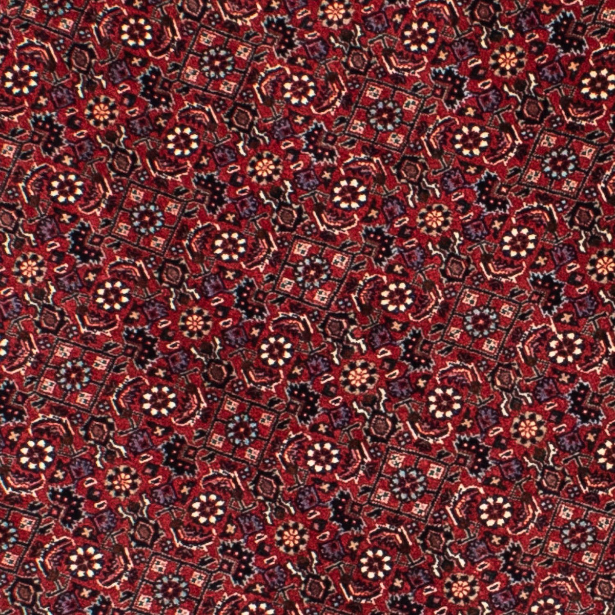 Alfombra persa - Bidjar redondo  - 155 x 155 cm - rojo oscuro