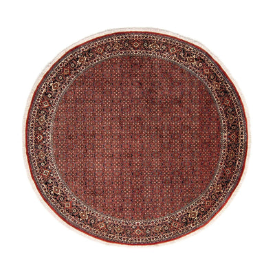 Bidjar Alfombra 250x250cm - Alfombra persa