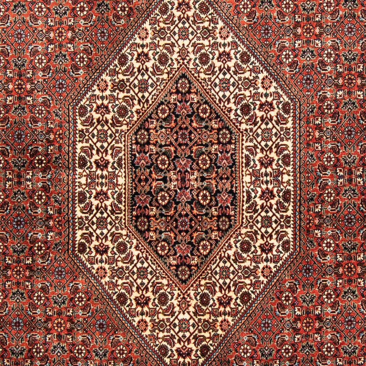 Alfombra persa - Bidjar - 252 x 150 cm - rojo