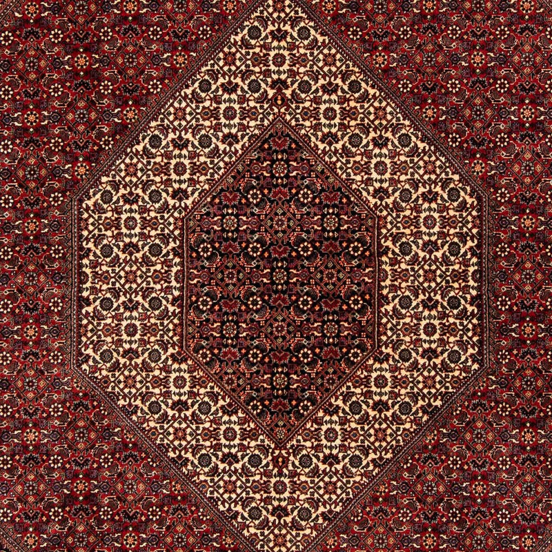Alfombra persa - Bidjar - 254 x 204 cm - rojo oscuro