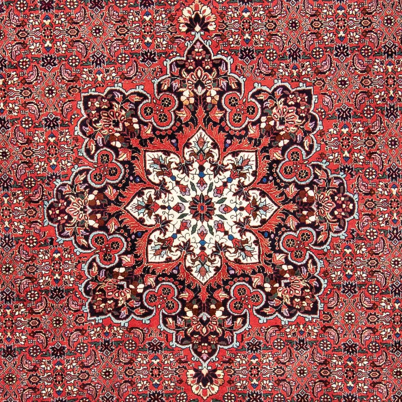 Alfombra persa - Bidjar - 240 x 170 cm - rojo