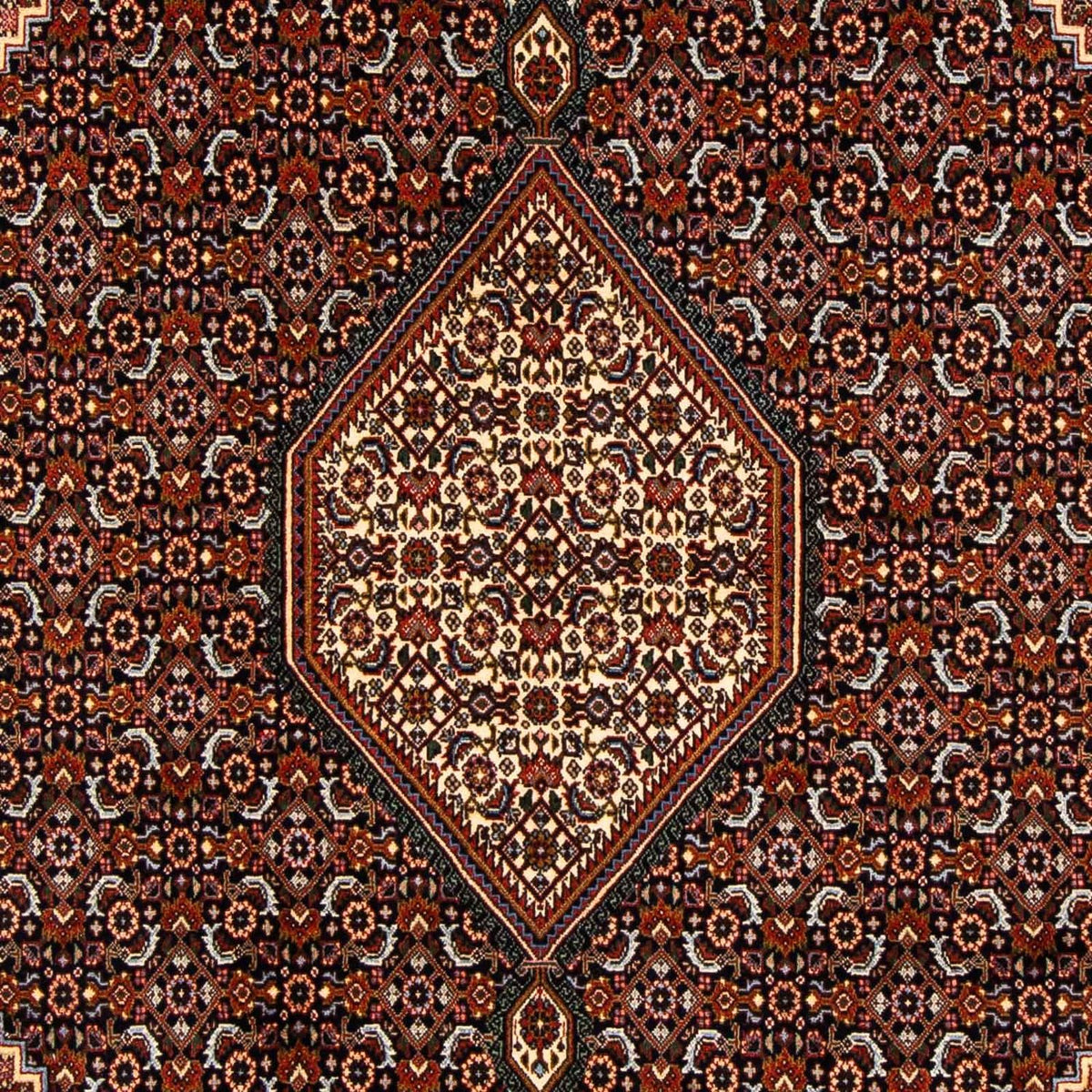 Alfombra persa - Bidjar - 270 x 167 cm - marrón