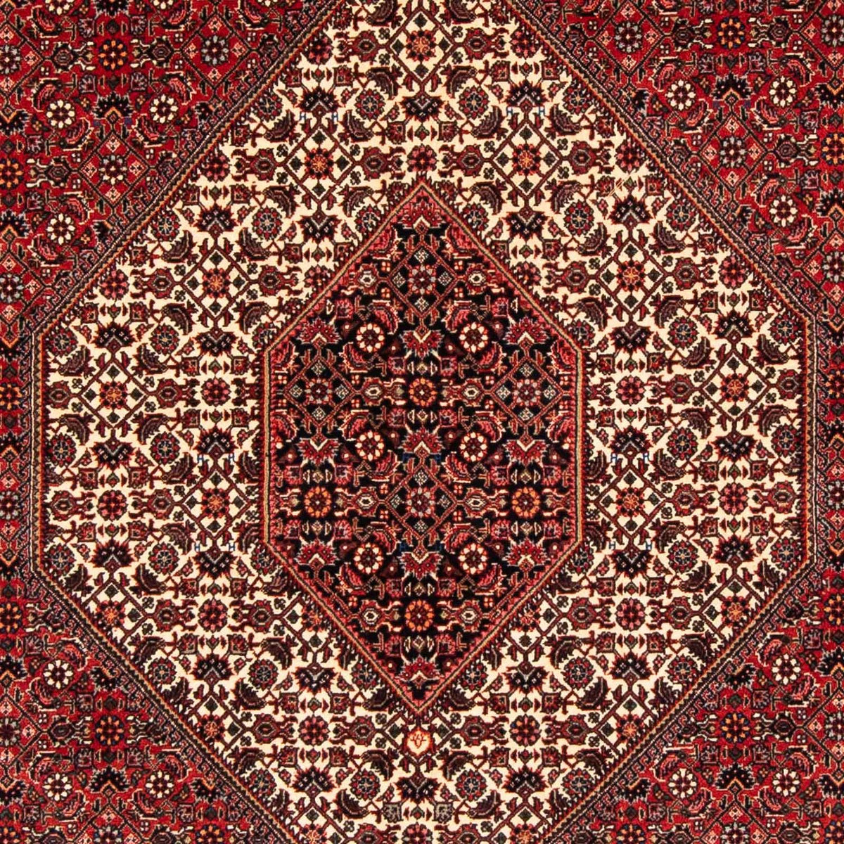Alfombra persa - Bidjar - 232 x 153 cm - rojo