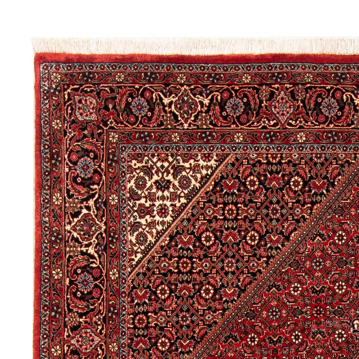 Alfombra persa - Bidjar - 232 x 153 cm - rojo