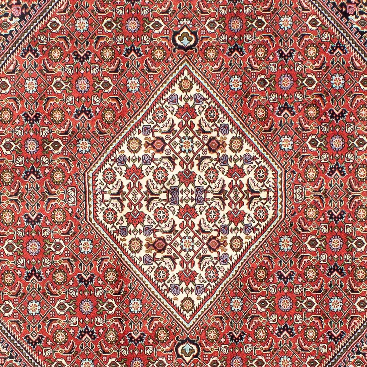 Alfombra persa - Bidjar - 240 x 173 cm - rojo