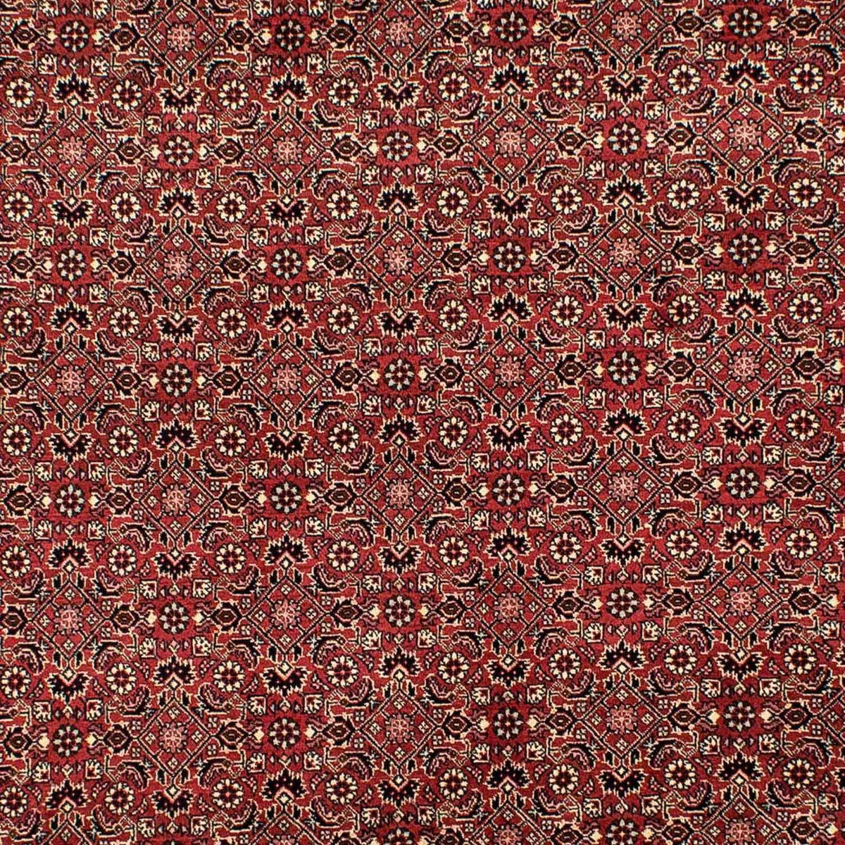 Alfombra persa - Bidjar - 305 x 198 cm - rojo oscuro