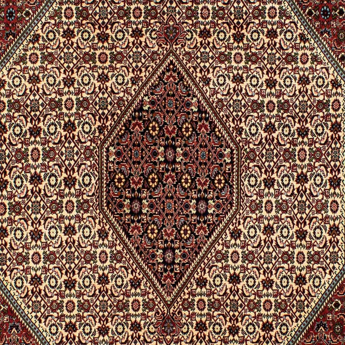 Alfombra persa - Bidjar - 300 x 200 cm - beige