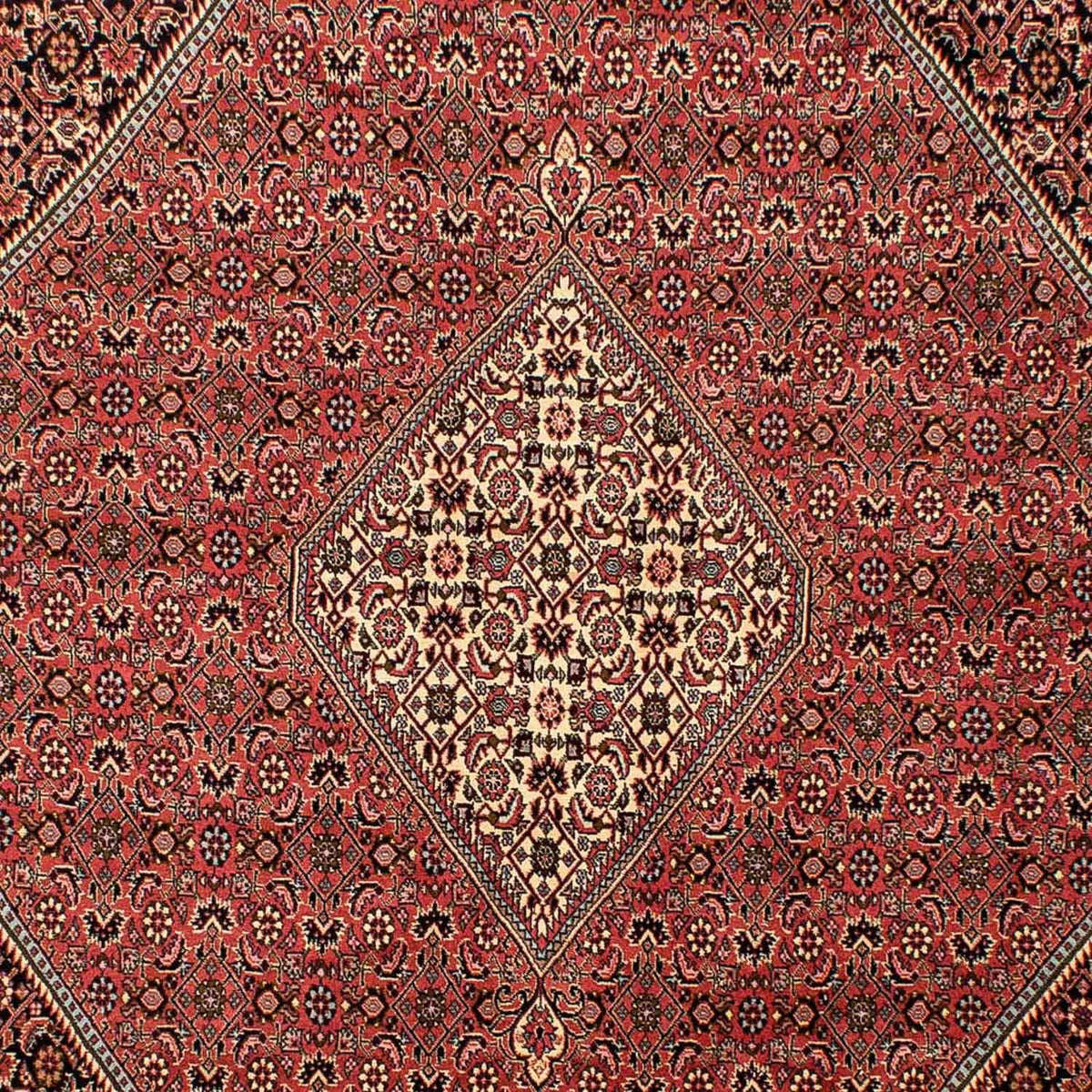 Alfombra persa - Bidjar - 293 x 205 cm - rojo claro