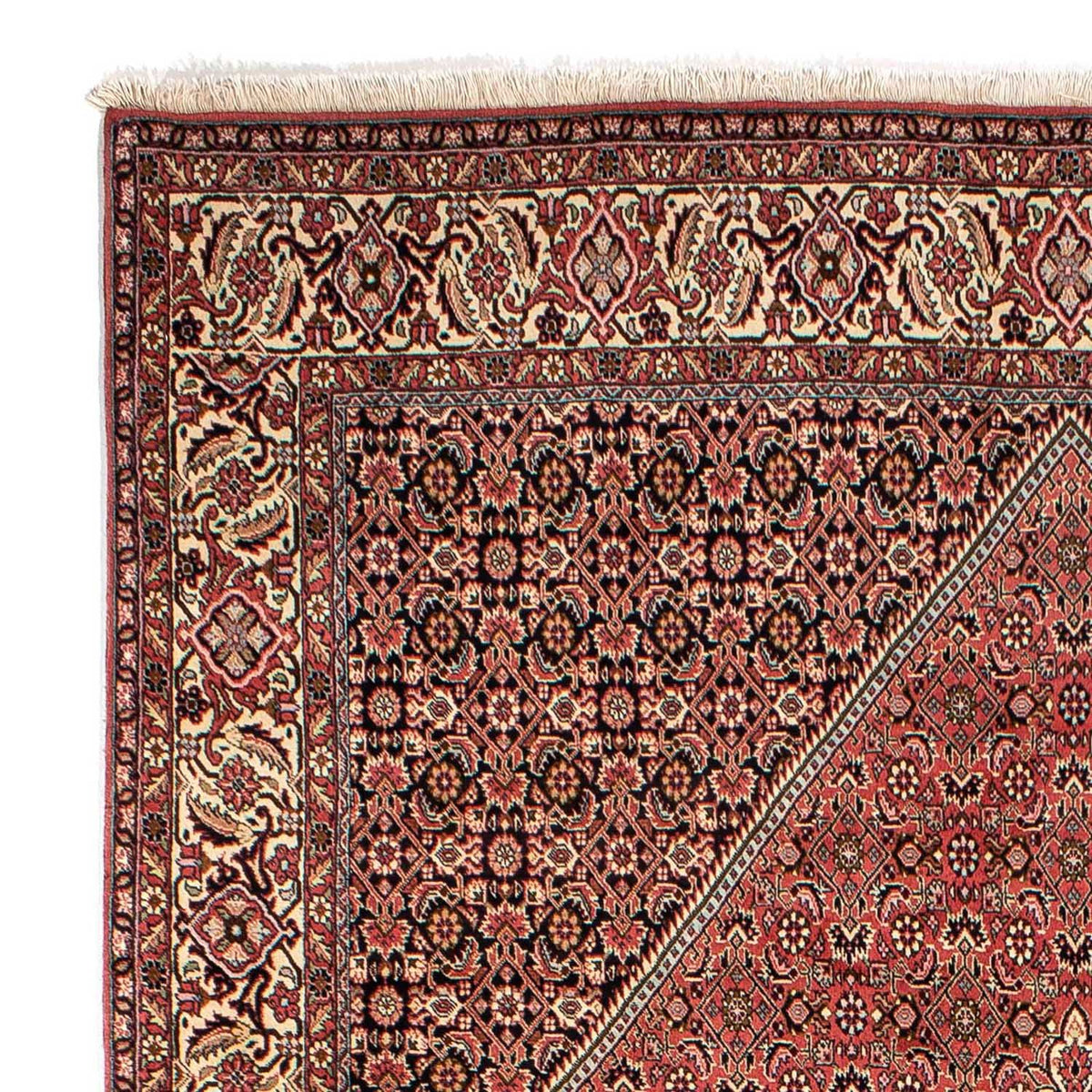 Alfombra persa - Bidjar - 293 x 205 cm - rojo claro