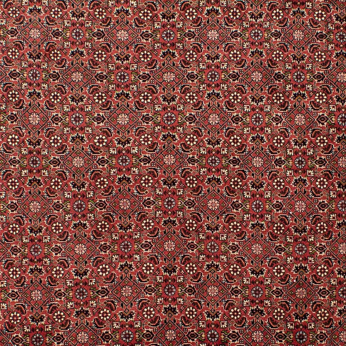Alfombra persa - Bidjar - 310 x 196 cm - rojo oscuro