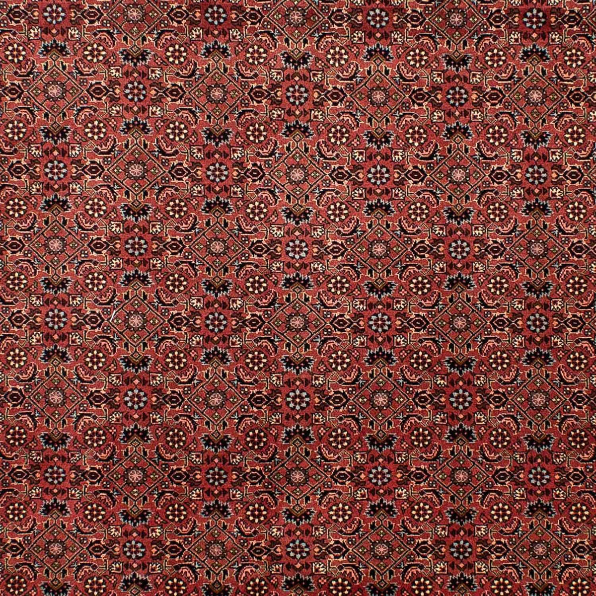 Alfombra persa - Bidjar - 292 x 203 cm - rojo oscuro