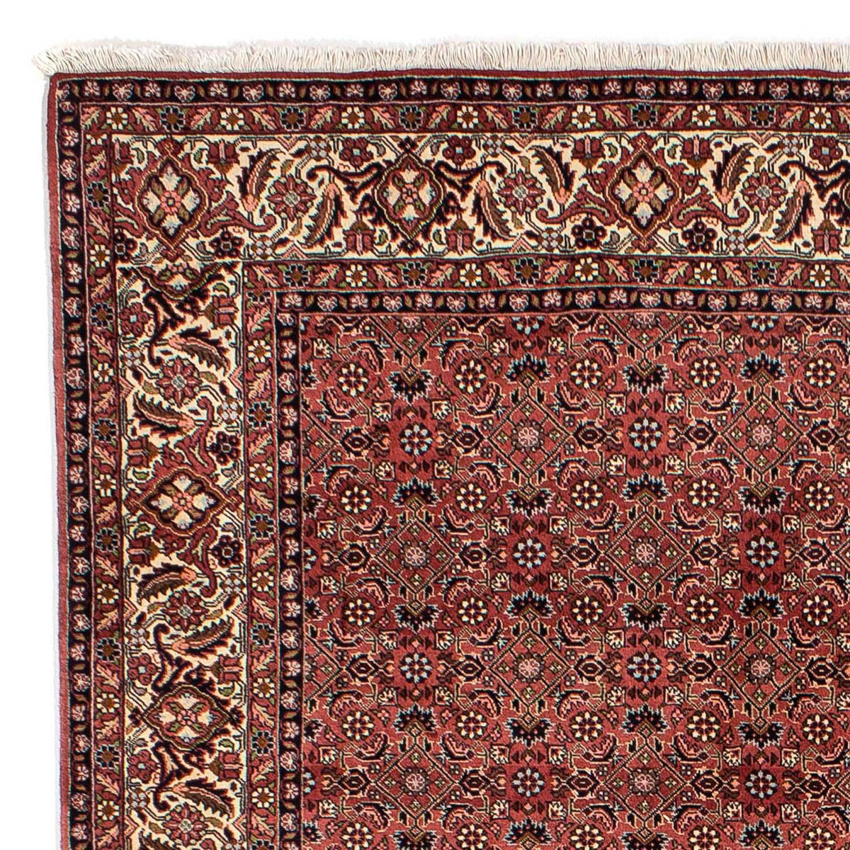 Alfombra persa - Bidjar - 292 x 203 cm - rojo oscuro