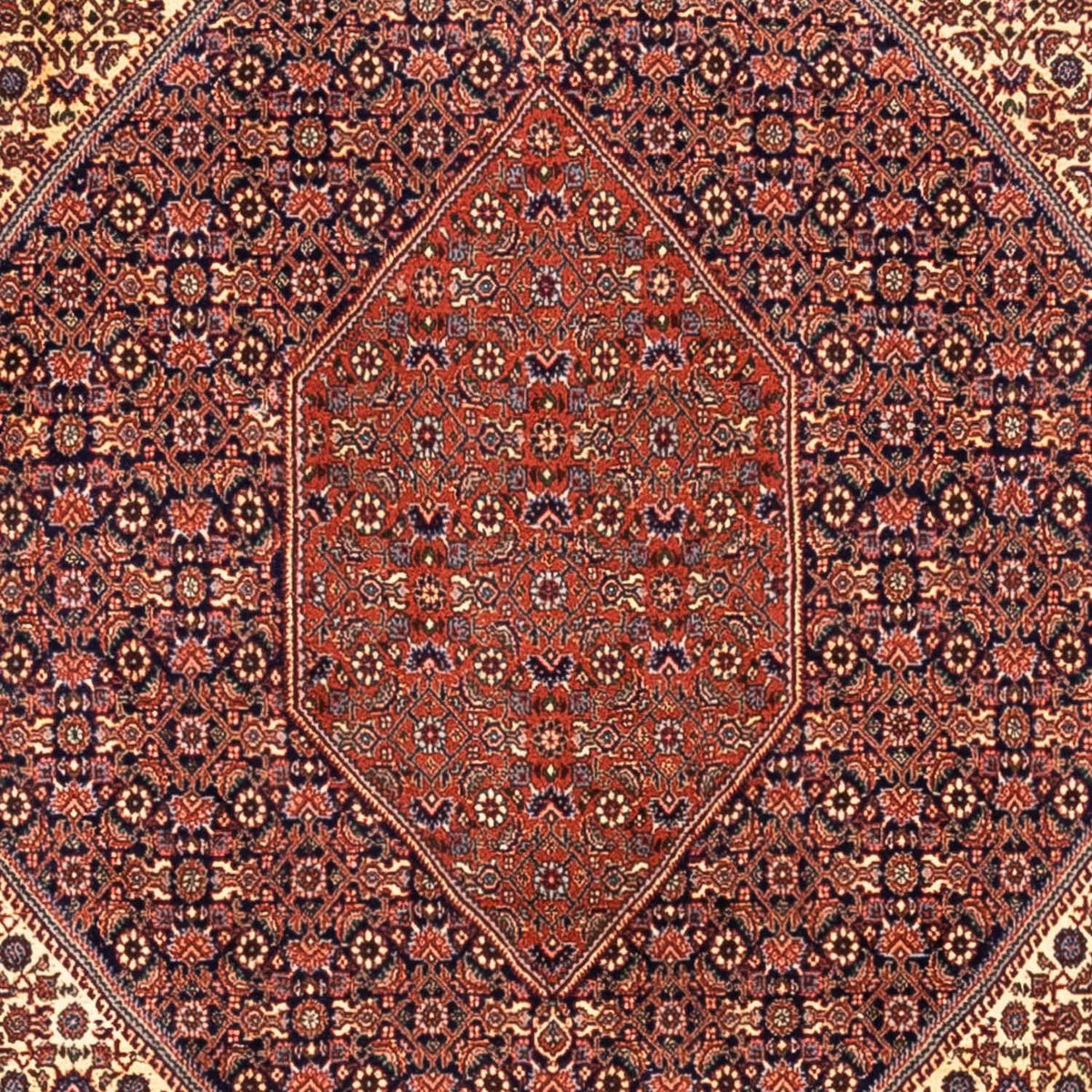 Alfombra persa - Bidjar - 340 x 254 cm - rojo