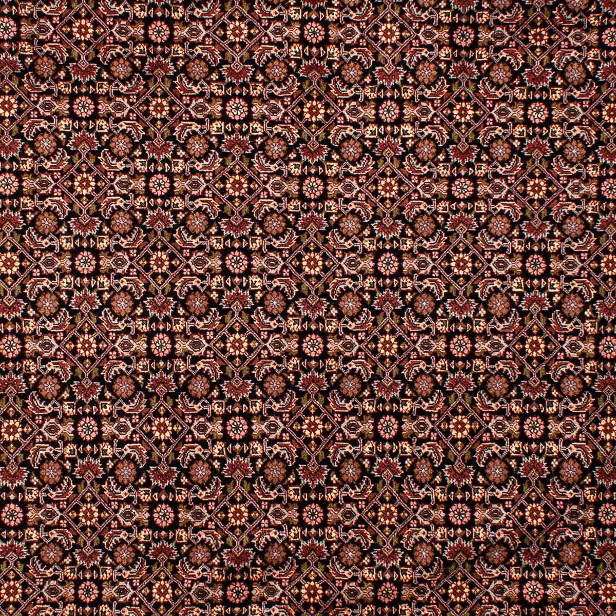 Alfombra persa - Bidjar - 292 x 199 cm - azul oscuro