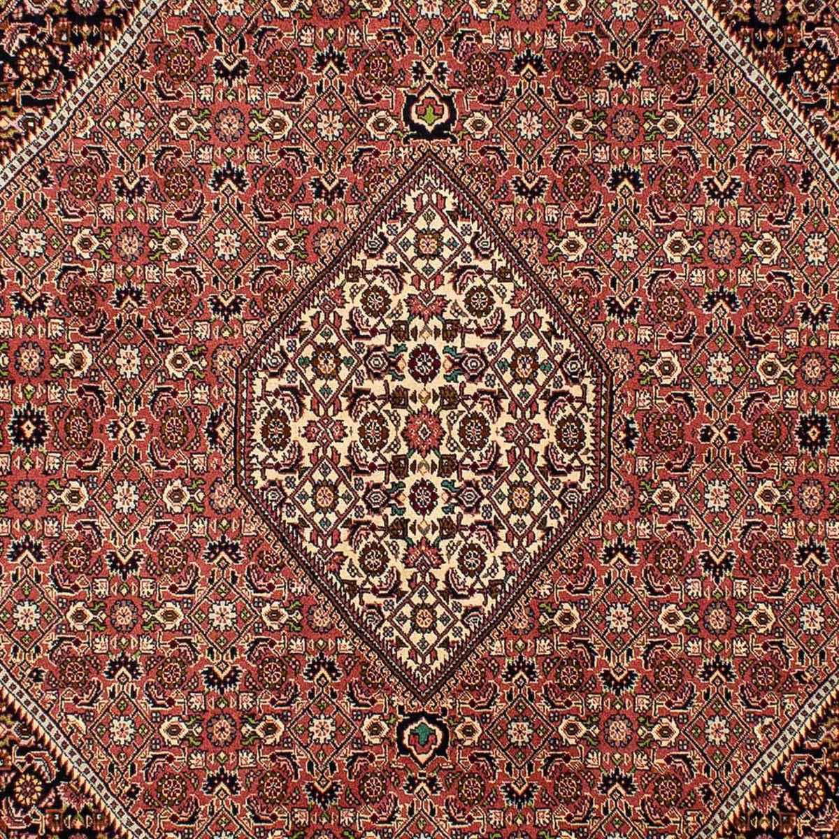 Alfombra persa - Bidjar - 290 x 200 cm - rojo claro