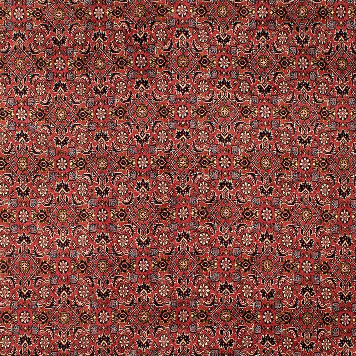 Alfombra persa - Bidjar - 293 x 206 cm - rojo oscuro