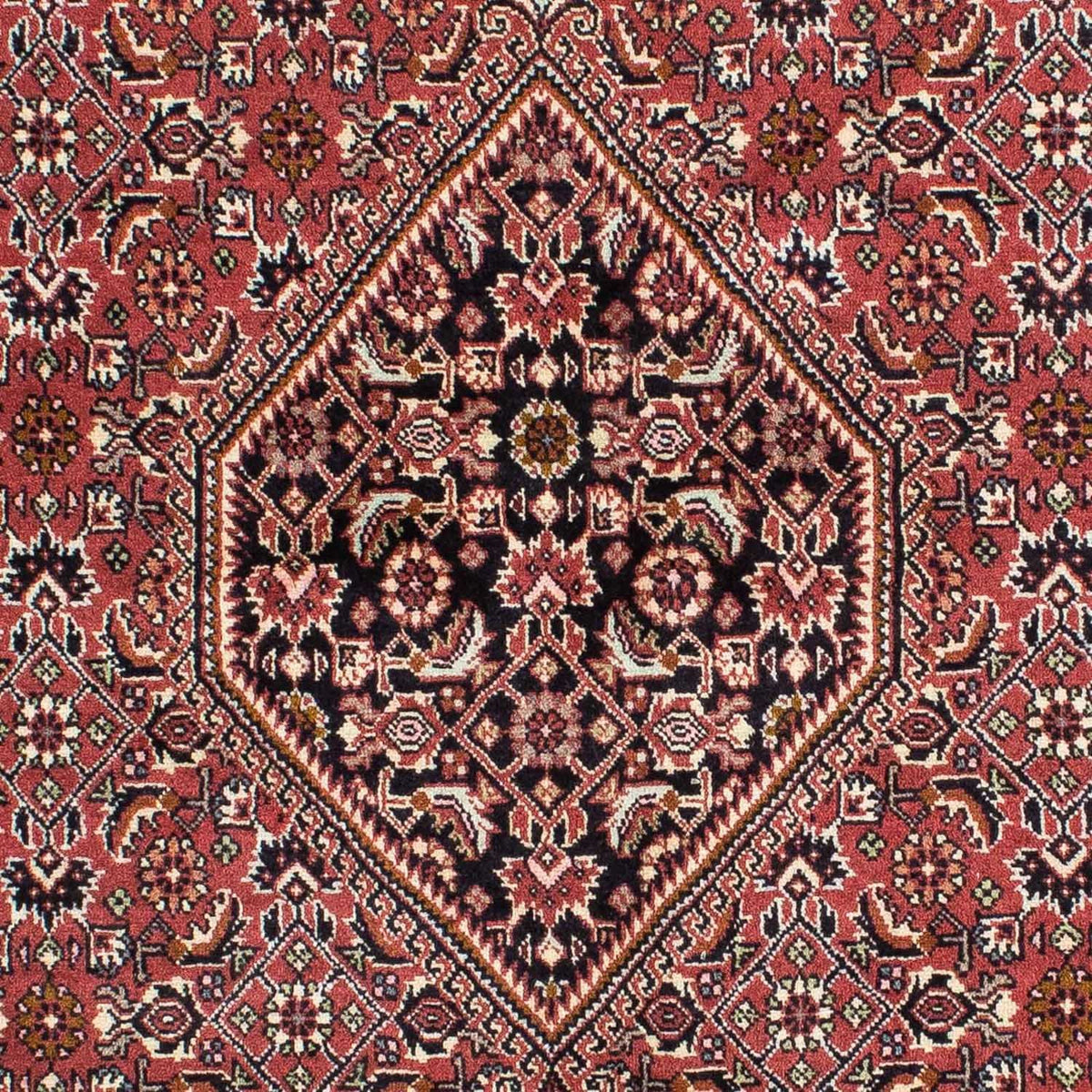Alfombra persa - Bidjar - 228 x 142 cm - rojo