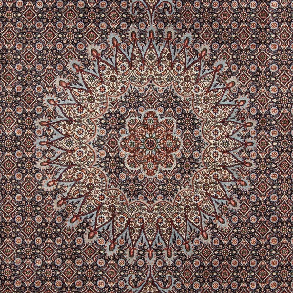 Alfombra persa - Clásica - 273 x 211 cm - azul oscuro