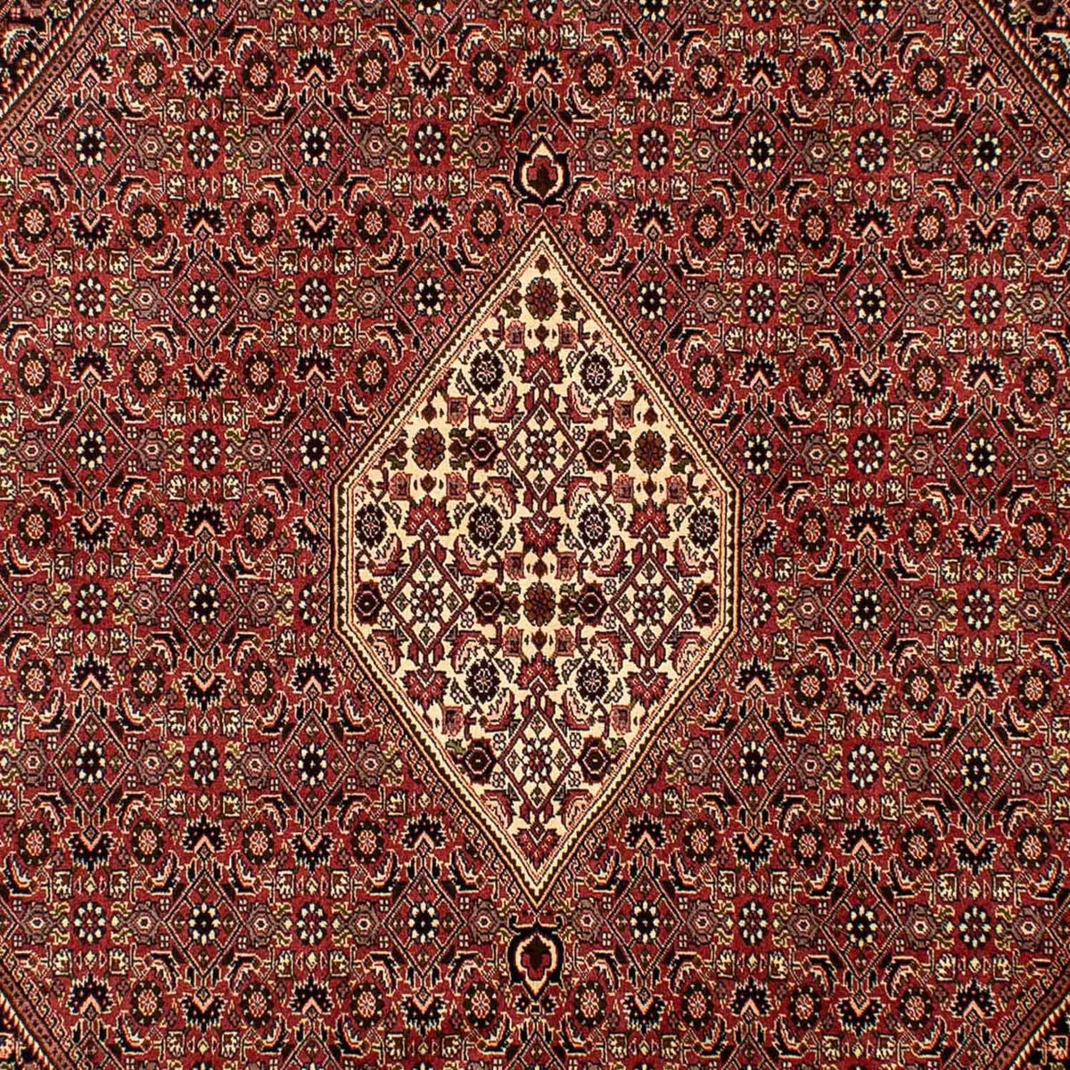 Alfombra persa - Bidjar - 288 x 200 cm - marrón