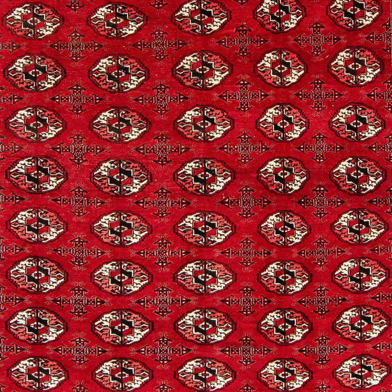 Alfombra Turkaman - 368 x 248 cm - rojo oscuro