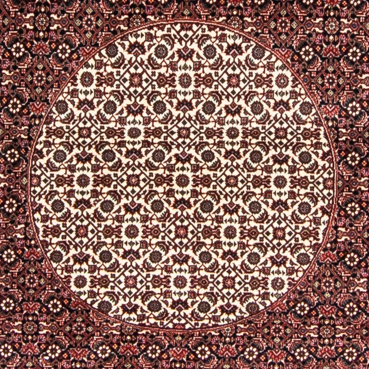 Alfombra persa - Bidjar redondo  - 247 x 247 cm - rojo oscuro